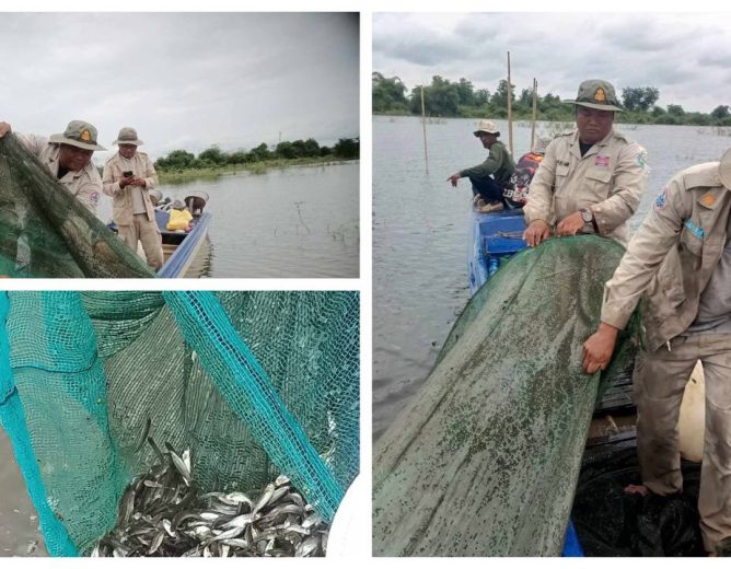 ខណ្ឌរដ្ឋបាលជលផលកំពង់ចាមបានសហការជាមួយអាជ្ញាធរស្រុកកំពង់សៀម បានចុះប្រតិបត្តិការបង្រ្កាបបទល្មើសជលផល បានចំនួន ០៣ករណី